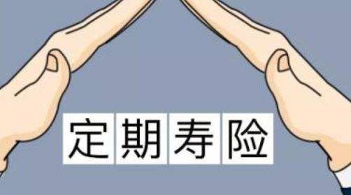 定期壽險適合什么人？